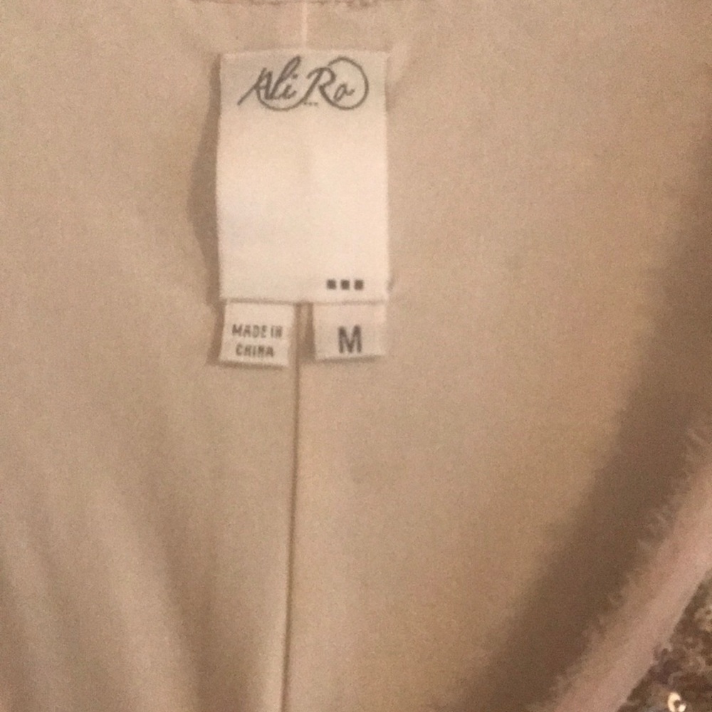 Sequin Ali Ro dress